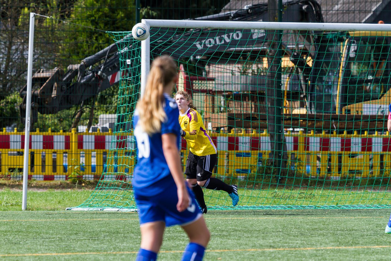 Bild 202 - B-Juniorinnen SV Henstedt Ulzburg - FSC Kaltenkirchen : Ergebnis: 3:2